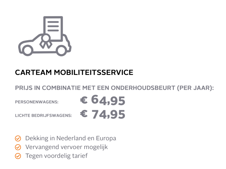 Carteam Garage De Bruijn