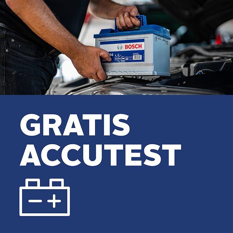 Carteam Garage De Bruijn